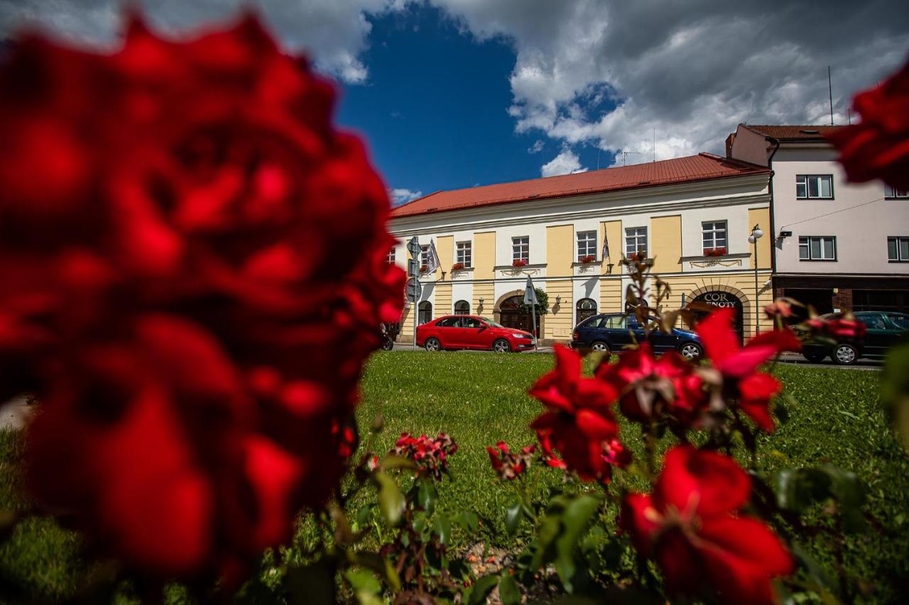 Penzion Satlava Nové Město nad Metují Екстериор снимка